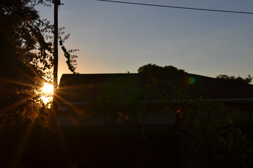 DSC_0659